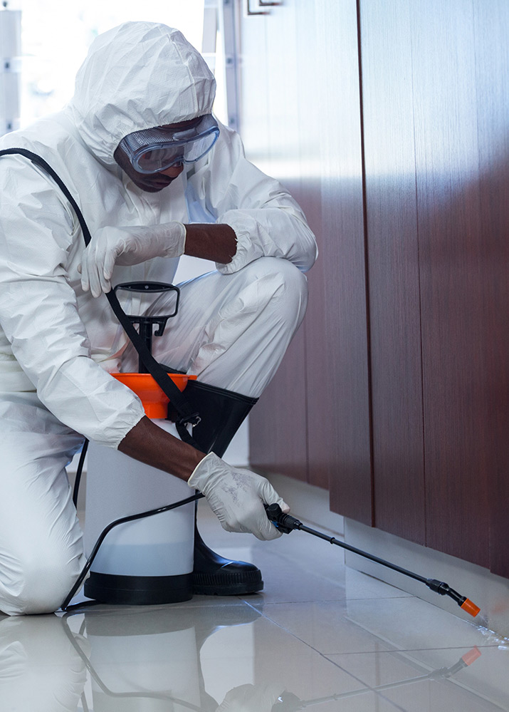 Exterminator in residential home spraying pesticide